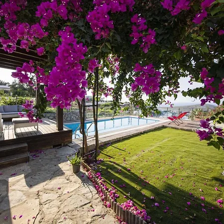 House With Amazing Sea View And Pool In Apartmán Gumusluk